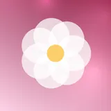 粉色山茶，花朵头像图片