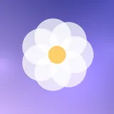 紫色绣球，花朵头像图片