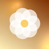 黄色向日葵，花朵头像图片