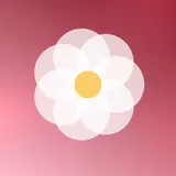 红色木棉，花朵头像图片
