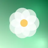 薄荷小花，花朵头像图片