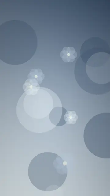 小雛菊，花卉主題高清手機壁紙